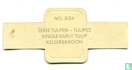 Single early tulip - Keizerskroon - Bild 2
