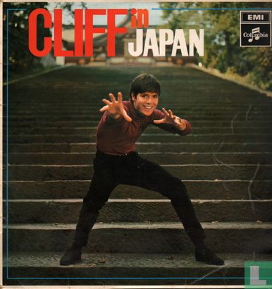 Cliff in Japan - Bild 1