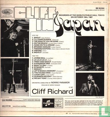 Cliff in Japan - Bild 2