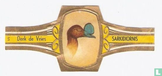 Sarkidiornis - Image 1