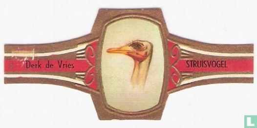Struisvogel - Image 1