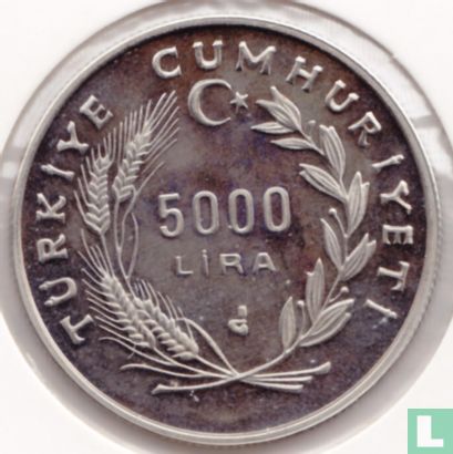 Türkei 5000 Lira 1991 (PP - Kehrprägung) "Yunus Emre sevgi yili" - Bild 2