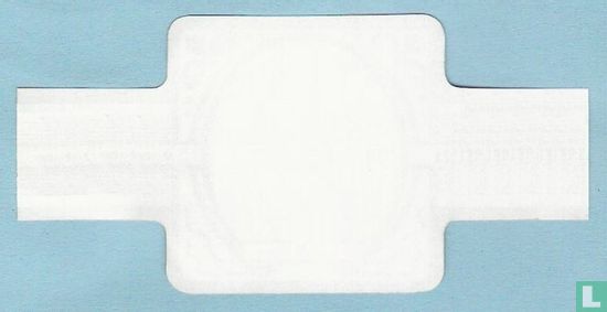 Poolse Lynx - Image 2