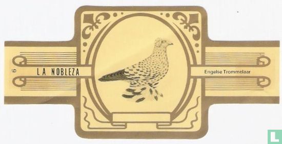 Engelse Trommelaar - Image 1
