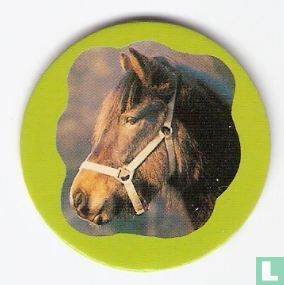 Horses I - Image 1