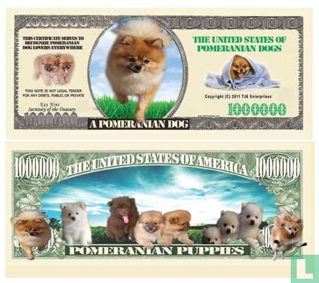 Billet de chiens chien de POMÉRANIE (USA)