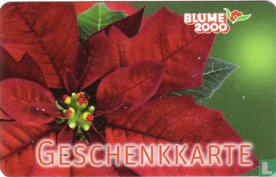 Blume 2000 - Afbeelding 1