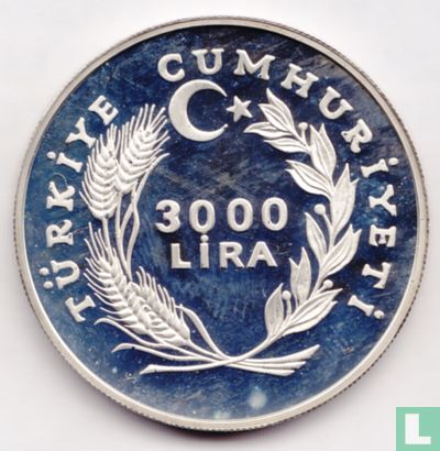 Turkey 3000 lira 1981 (PROOF - without mintmark) "International Year of Disabled People" - Image 2