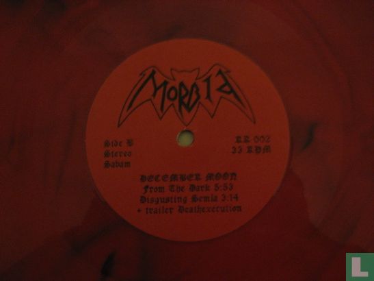 December moon - Afbeelding 3