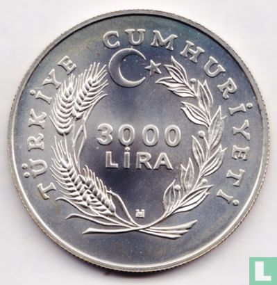 Turquie 3000 lira 1981 "International Year of the Disabled Persons" - Image 2