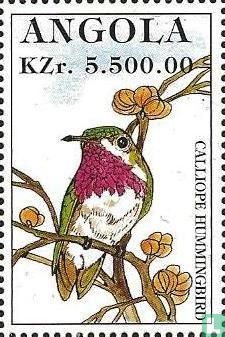 Oiseaux du monde entier