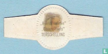 Terschelling - Image 2