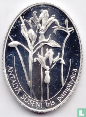 Turkey 7.500.000 lira 2002 (PROOF) "Iris pamphylica" - Image 2