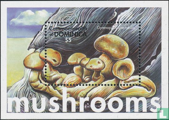 Mushrooms     