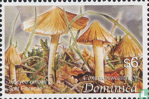 Mushrooms      