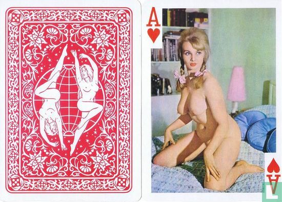 No. 101 Wonderful 54 Models Colour Playing Cards - Image 2