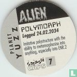 Polymorph - Afbeelding 2