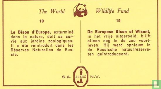 De Europese Bison of Wisent - Image 2