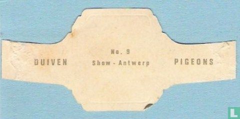 Show - Antwerp - Image 2