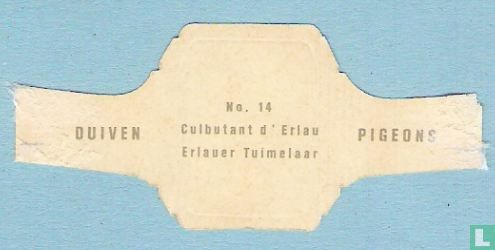 Erlauer Tuimelaar - Image 2