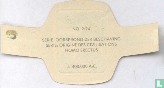Homo erectus ± 400.000 a.c. - Afbeelding 2