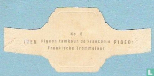 Frankische trommelaar - Image 2