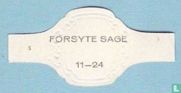 Forsyte Sage 11 - Image 2