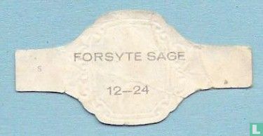 Forsyte Sage 12 - Image 2
