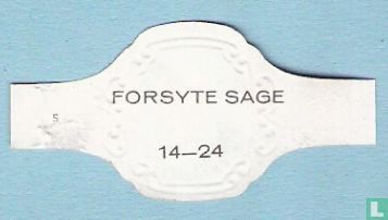 Forsyte Sage 14 - Image 2