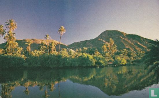 Rio y palmares de Mulegé  - Afbeelding 1
