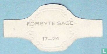 Forsyte Sage 17 - Image 2