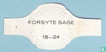 Forsyte Sage 18 - Image 2