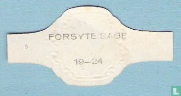 Forsyte Sage 19 - Image 2