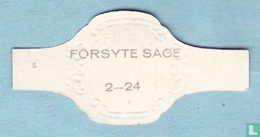 Forsyte Sage 2 - Image 2