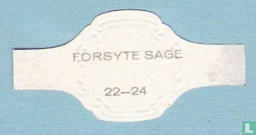 Forsyte Sage 22 - Image 2