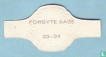 Forsyte Sage 23 - Image 2