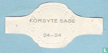 Forsyte Sage 24 - Image 2