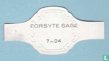 Forsyte Sage 7 - Image 2
