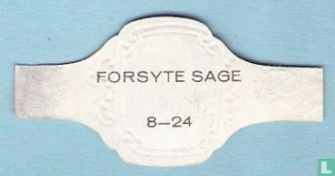 Forsyte Sage 8 - Image 2