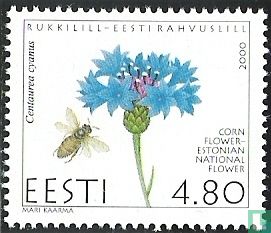 Bleuet