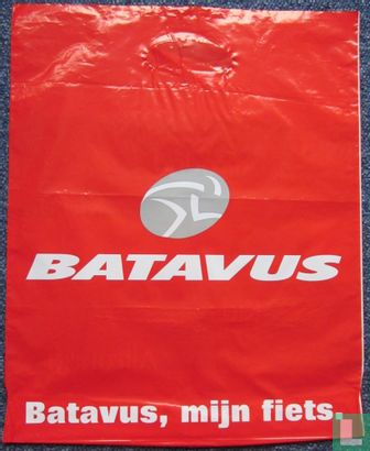 Rijwiel: Batavus, mijn fiets - Image 2