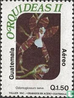 Orchids Oncidium