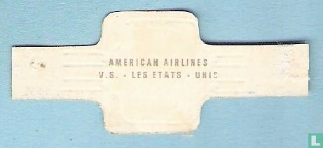 American Airlines - Les États-Unis - Image 2