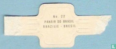 Panair do Brasil - Brésil - Image 2
