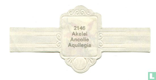 Akelei - Aquilegia - Image 2