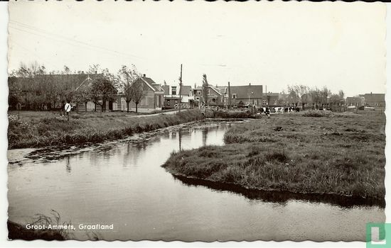 Groot-Ammers, Graafland