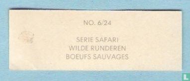 Boeufs sauvages - Image 2