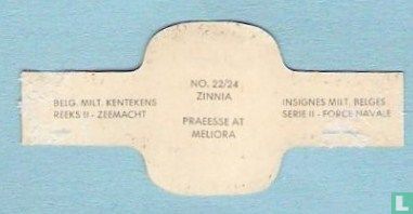 Zinnia - Praeesse at meliora - Afbeelding 2