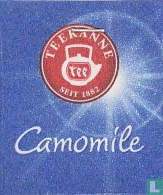 Camomile - Image 3