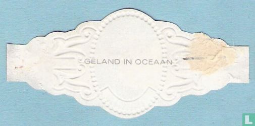 Geland in oceaan - Image 2